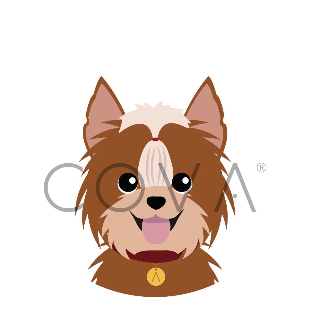 Yorkie