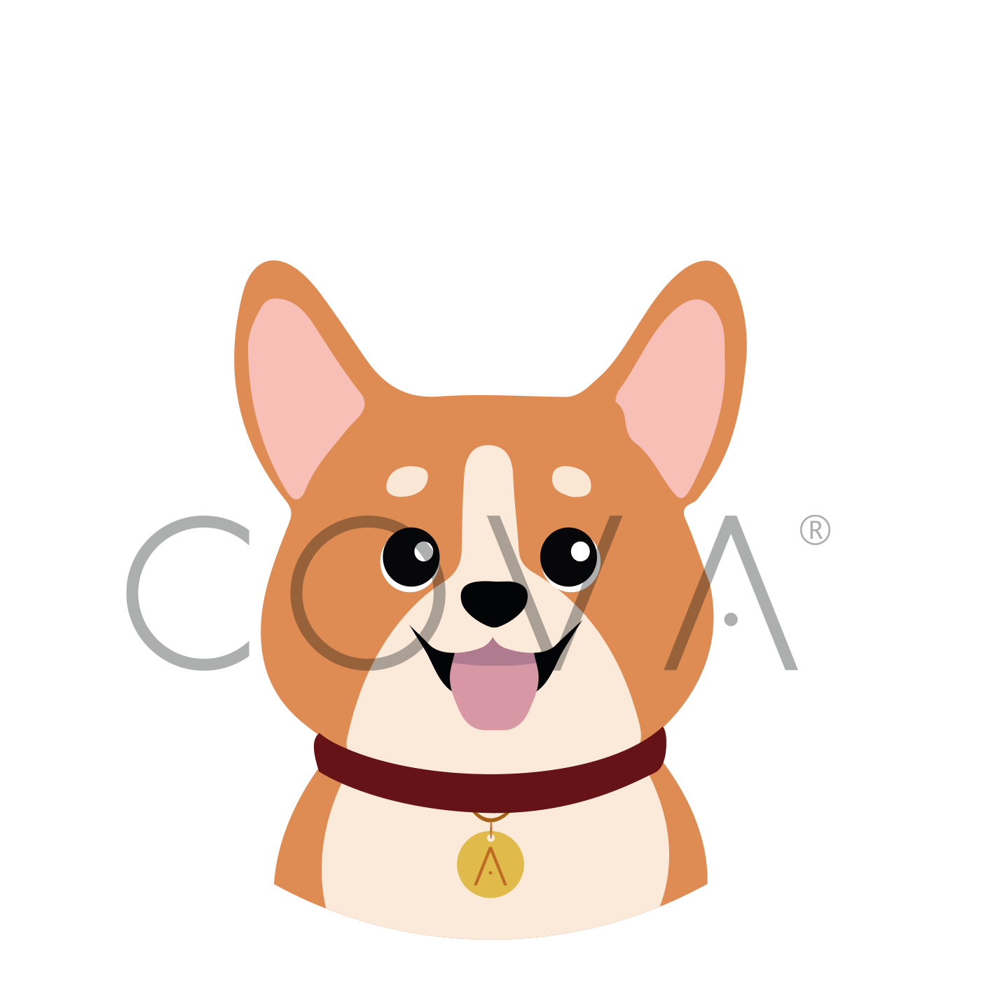 Corgie