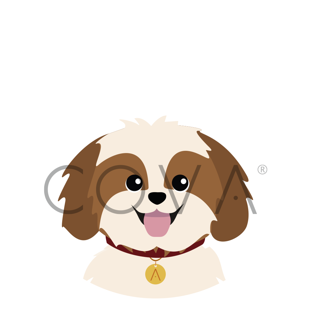 Shih Tzu Moca