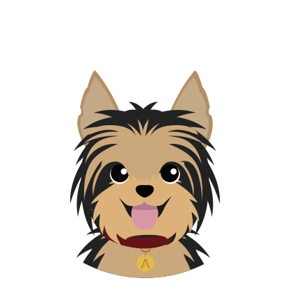 Yorkie Negro