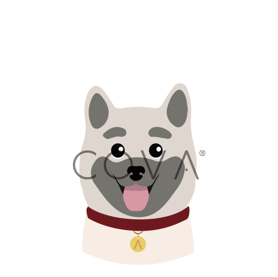 Akita