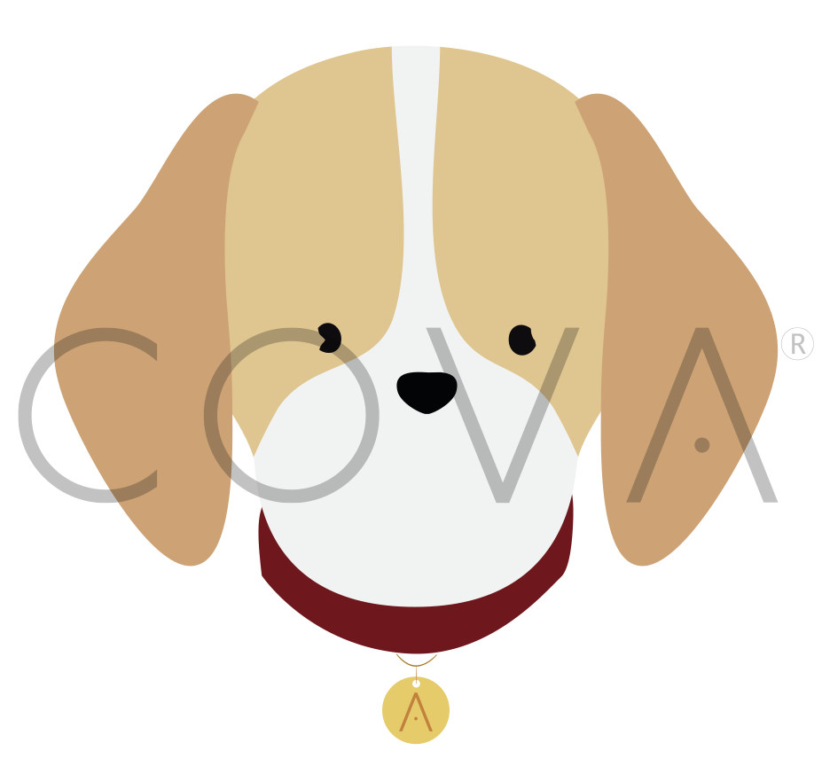 Beagle Limón
