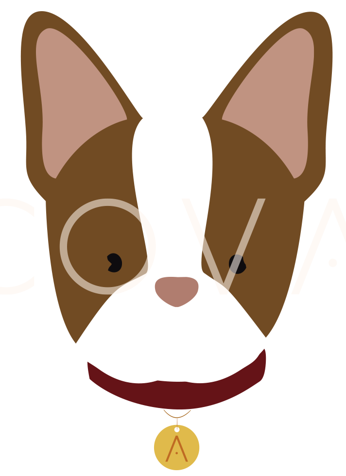 Boston terrier Rojo