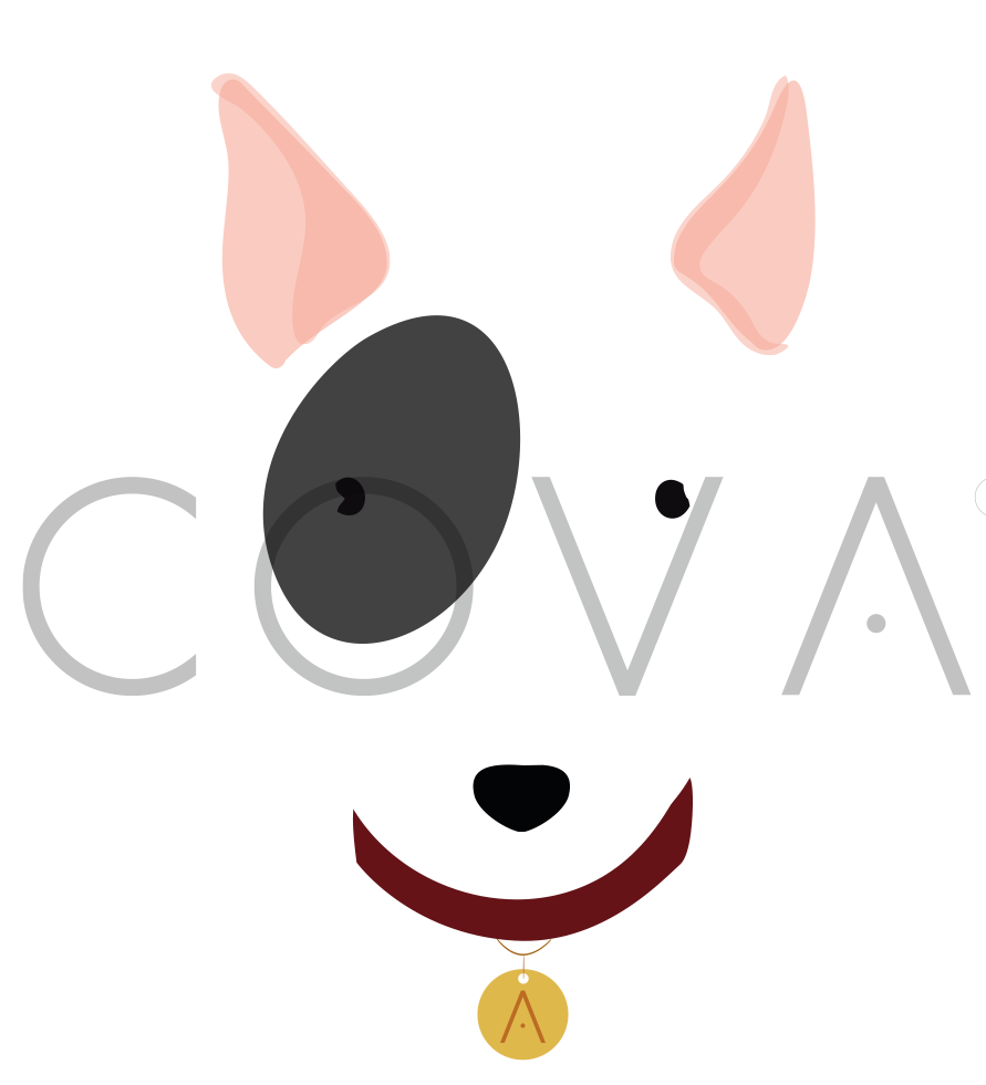 Bull Terrier