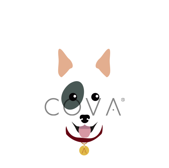 Bull Terrier
