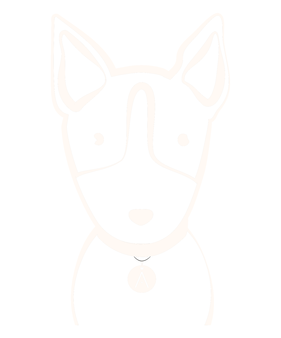 Bull Terrier 3