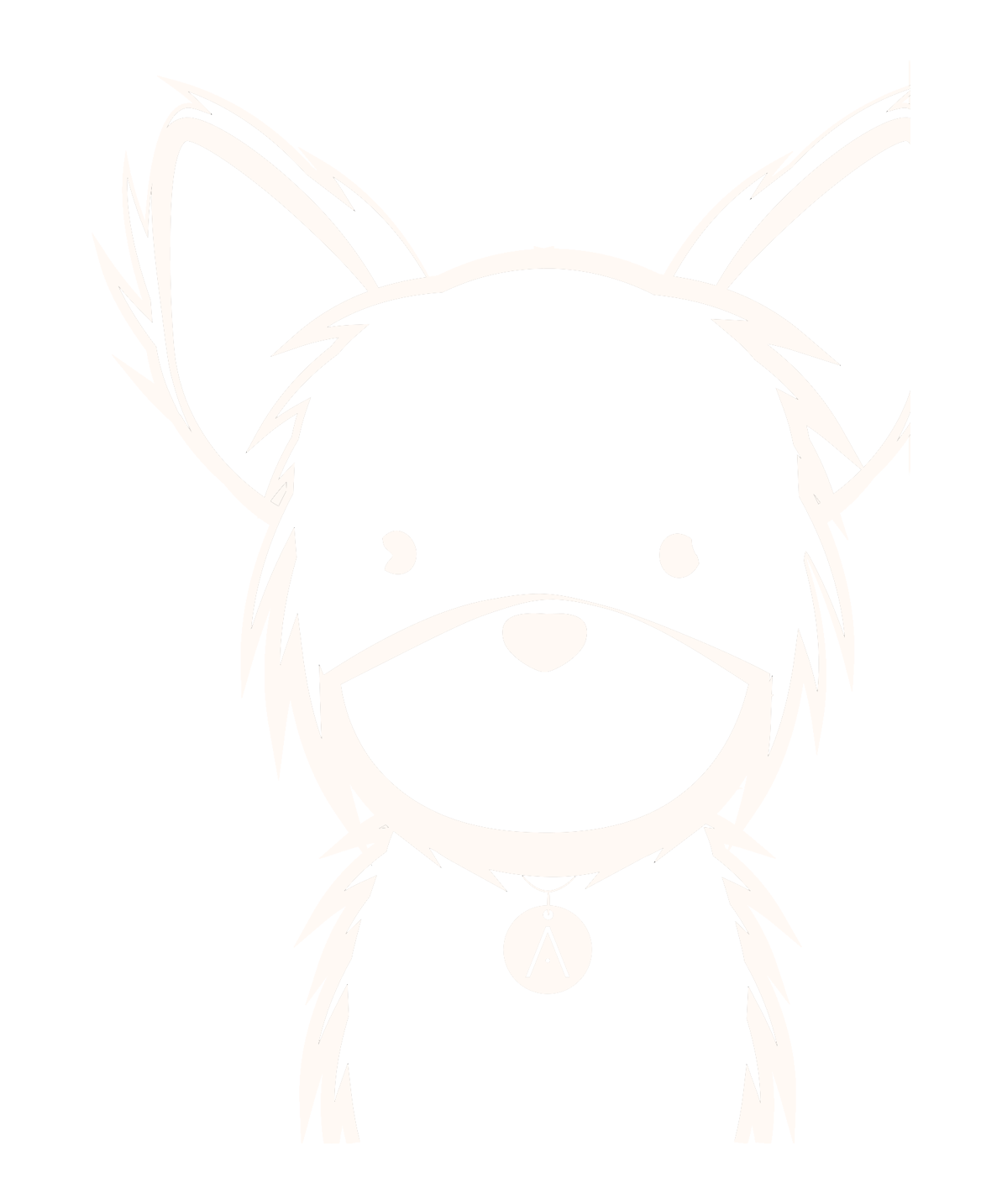 Chihuahua de Pelo Largo