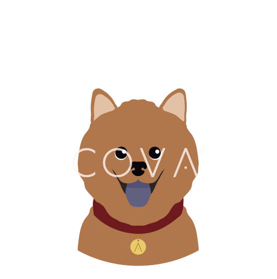Chow Chow Canela