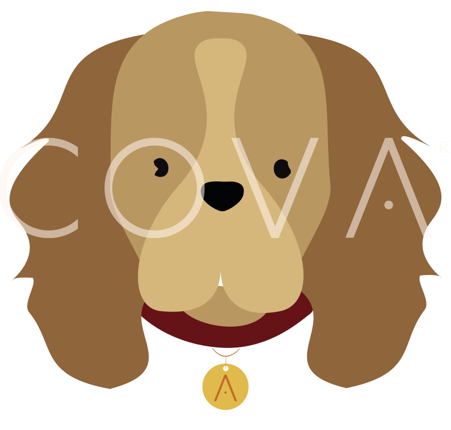 Cocker Spaniel Dorado