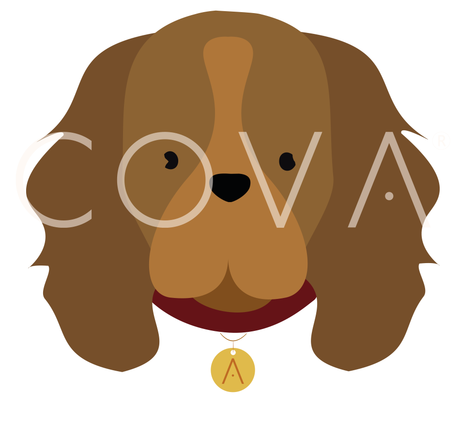 Cocker Spaniel