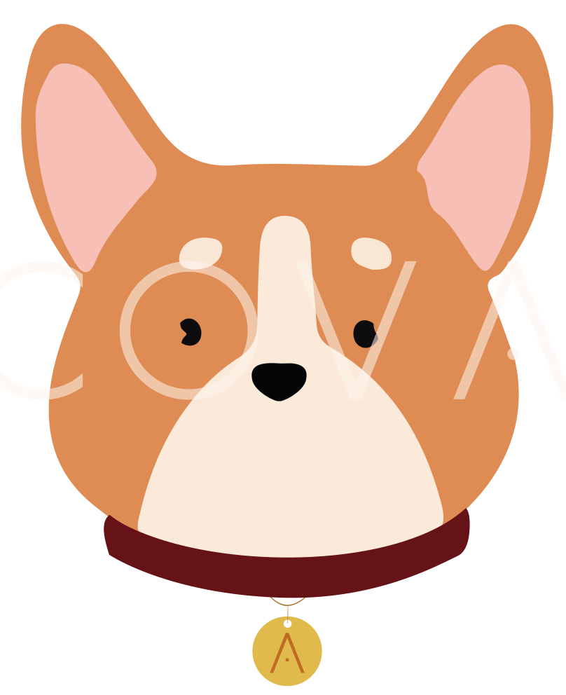 Corgi