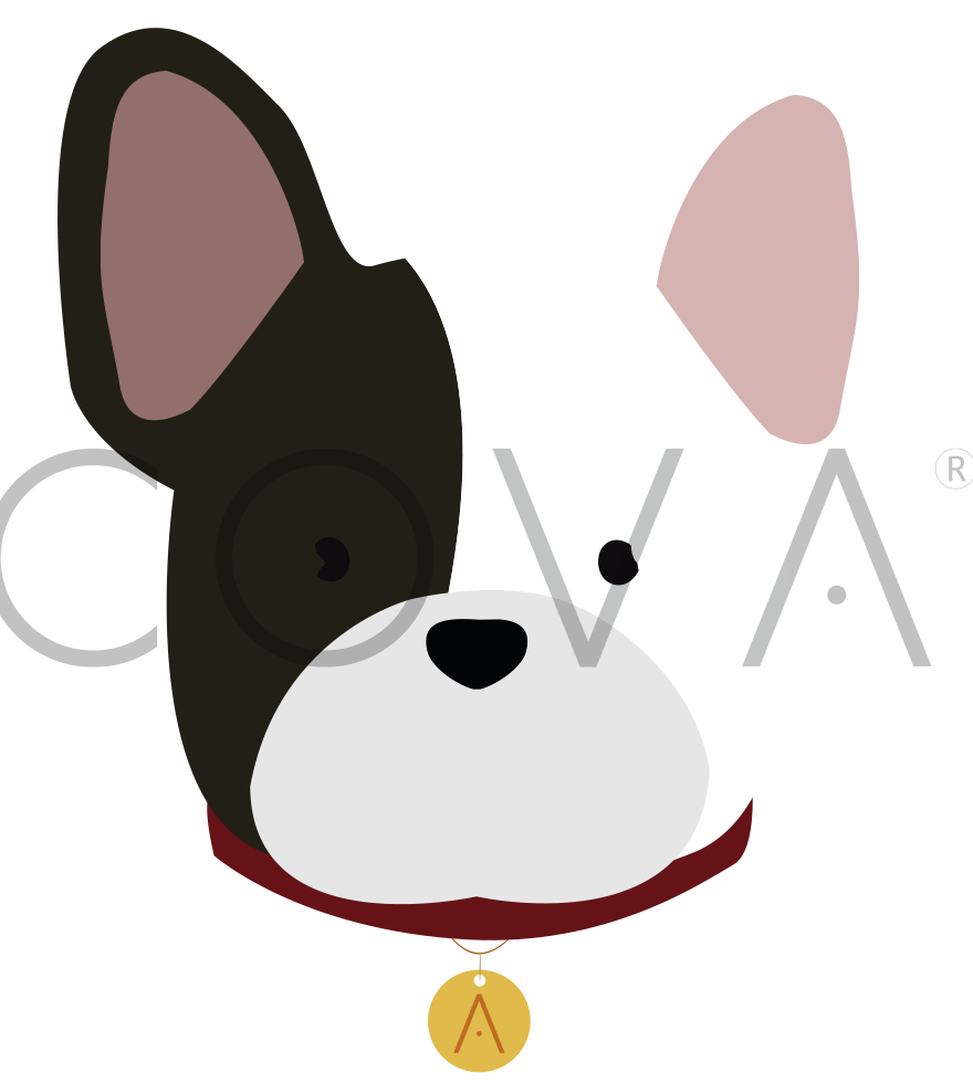 Frenchie