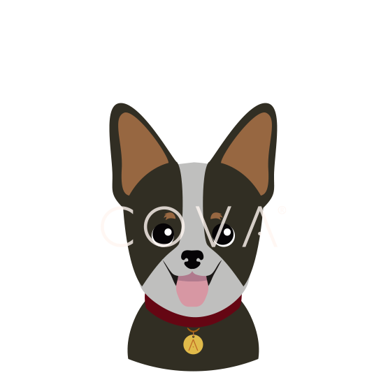 Ganadero Australiano