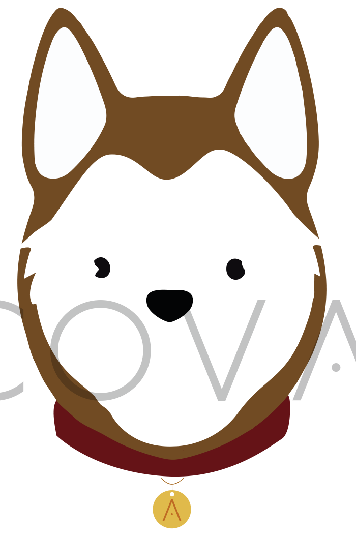 Husky Siberiano Rojo