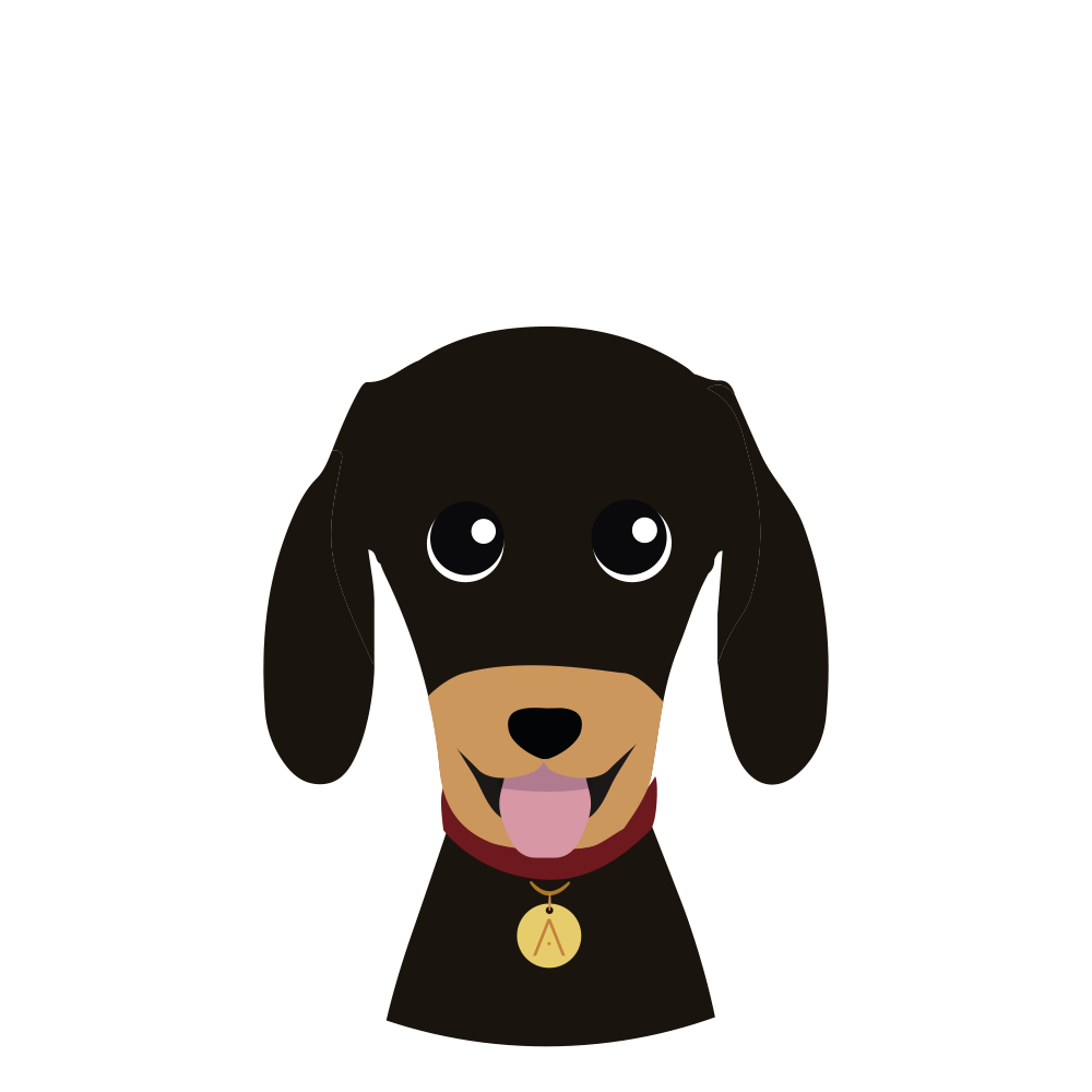 Dachshund Negro