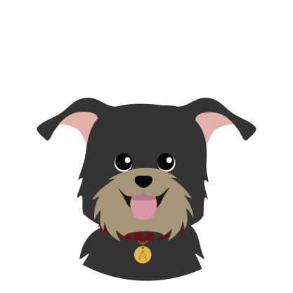 Griffon Negro