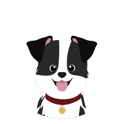 Border Cachorro