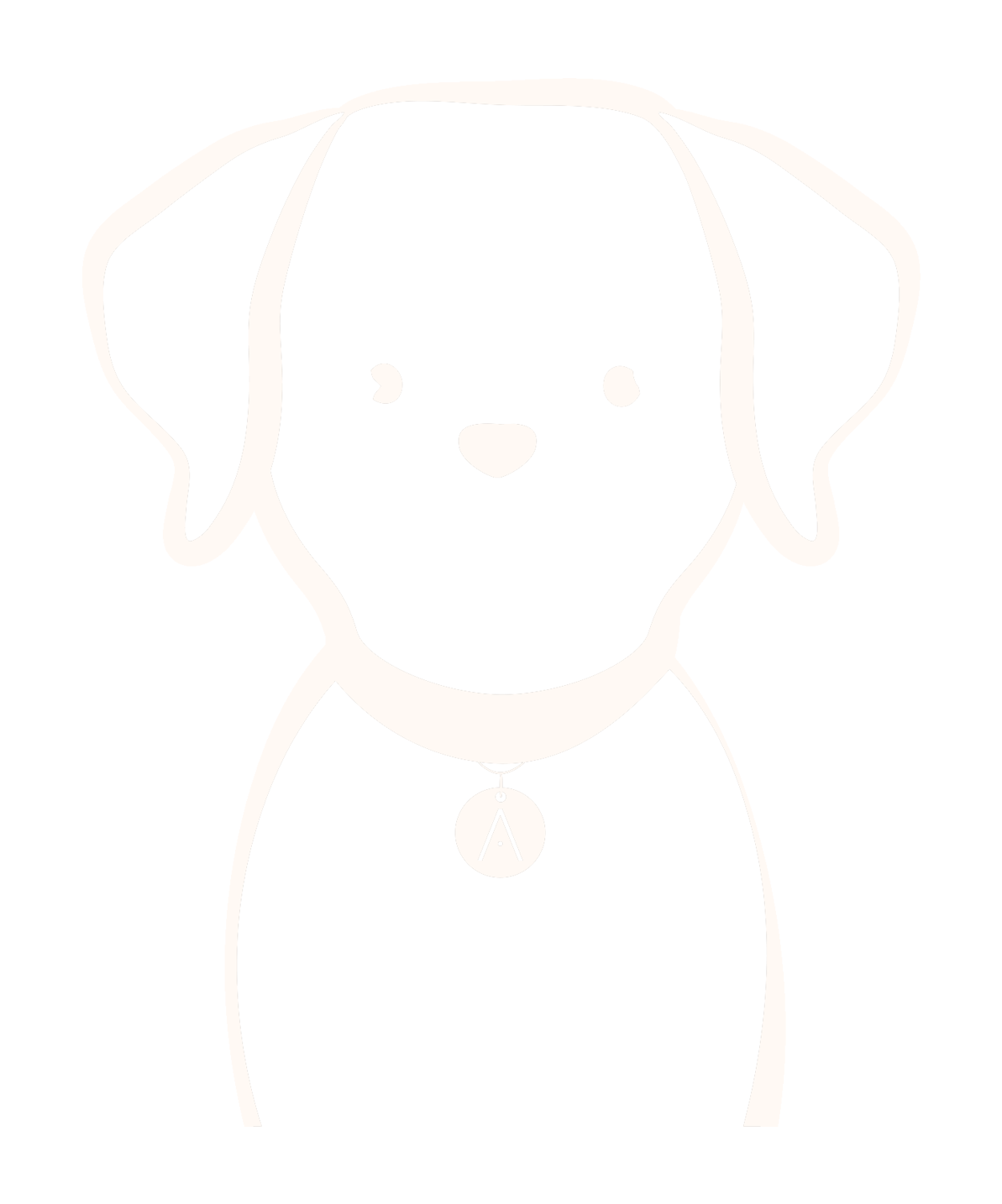 Labrador