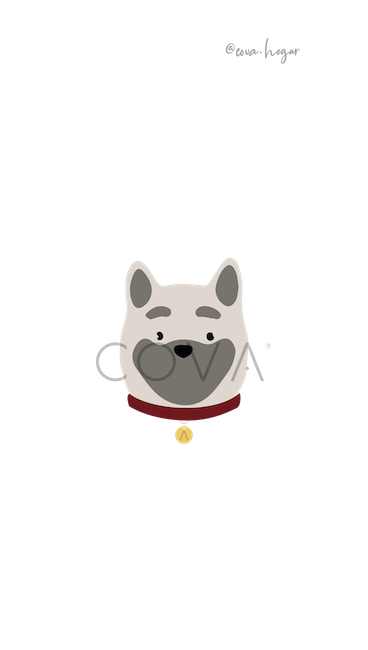 Akita