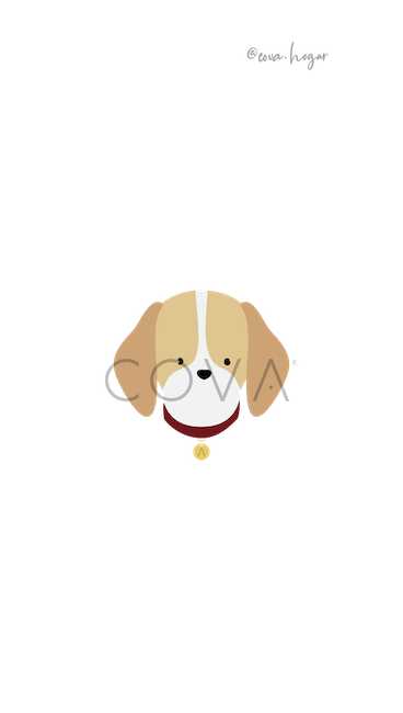 Beagle Limón