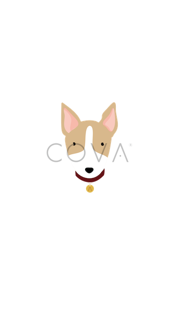 Bull Terrier Amarillo