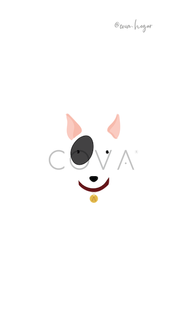 Bull Terrier