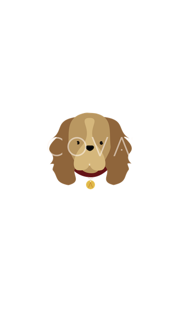 Cocker Spaniel Dorado