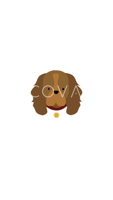Cocker Spaniel