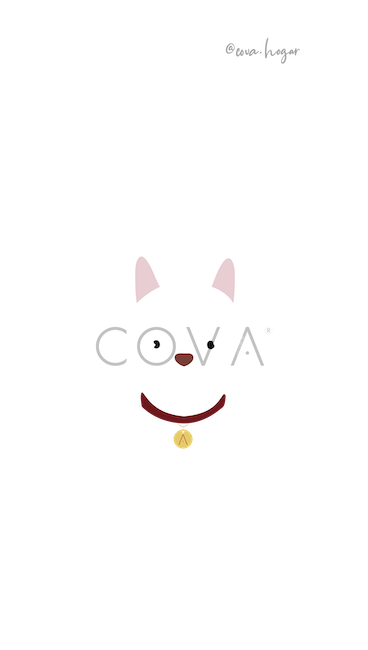 Husky Siberiano Blanco