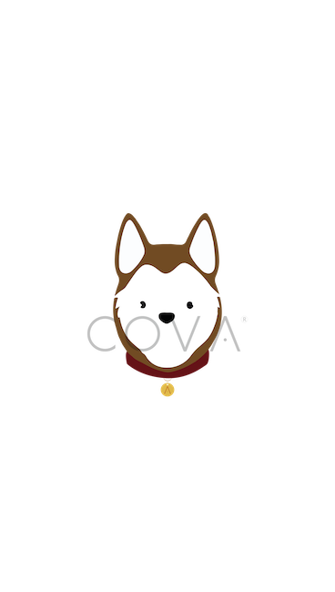 Husky Siberiano Rojo