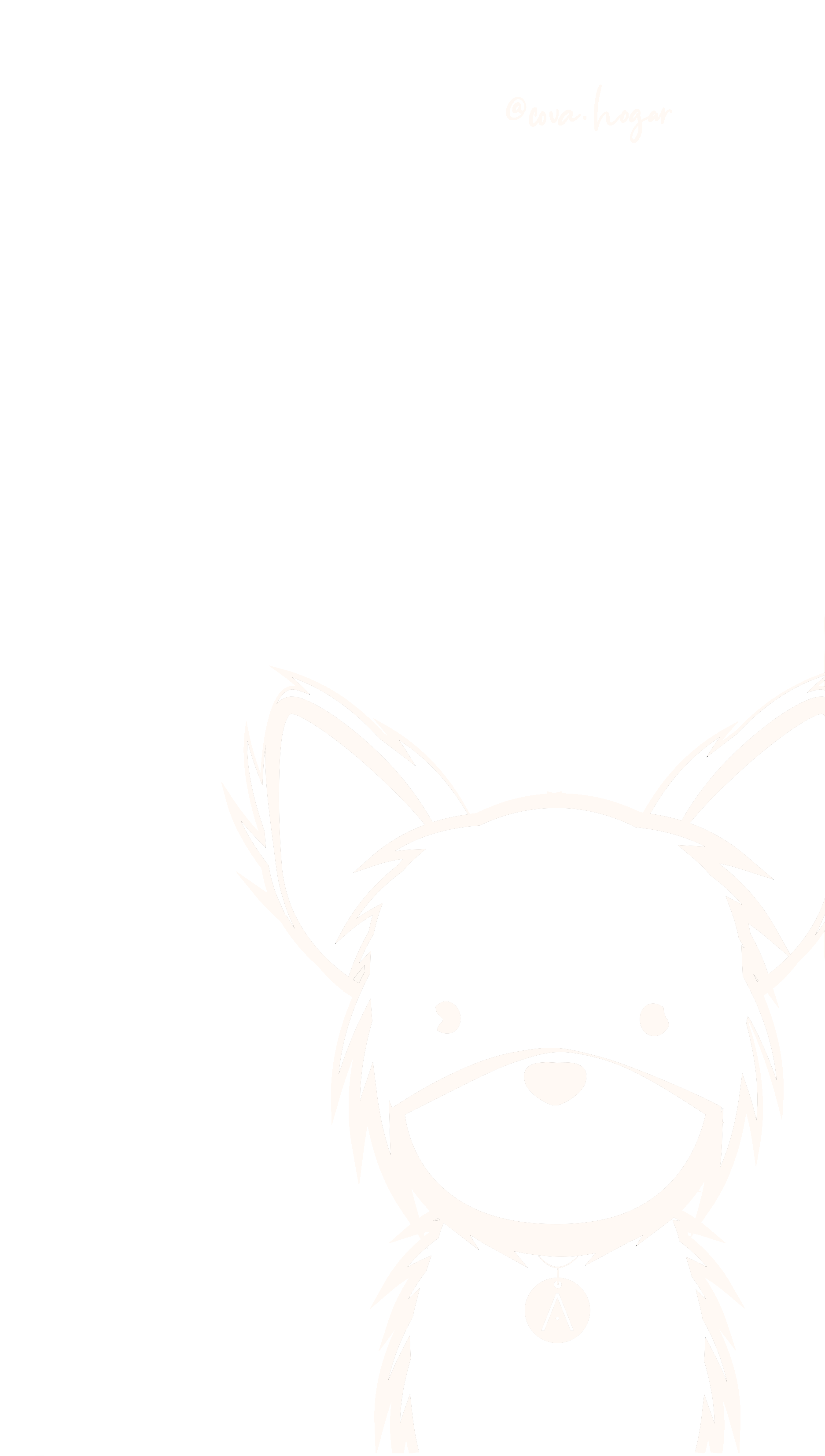 Chihuahua de Pelo Largo