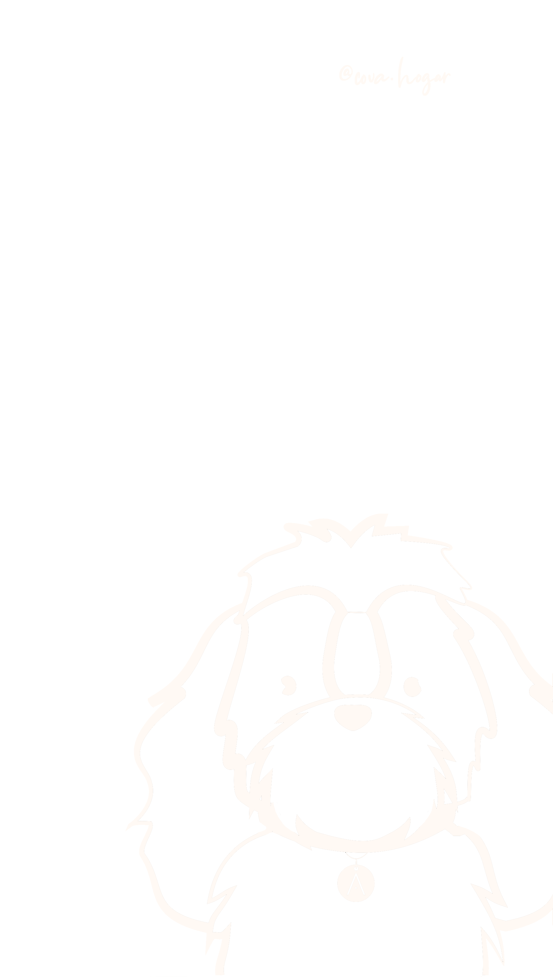 Shih Tzu de Pelo Largo