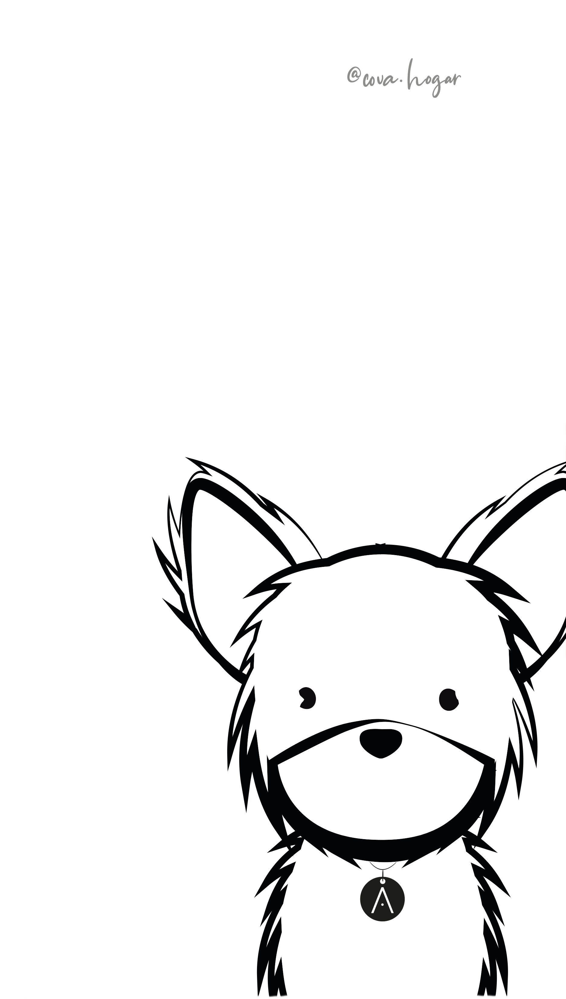 Chihuahua de Pelo Largo