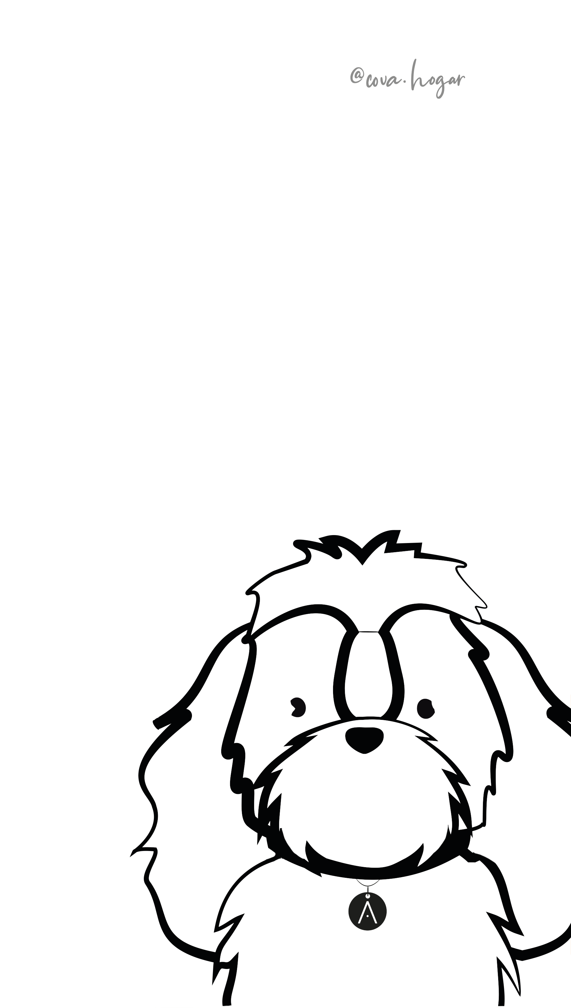 Shih Tzu de Pelo Largo