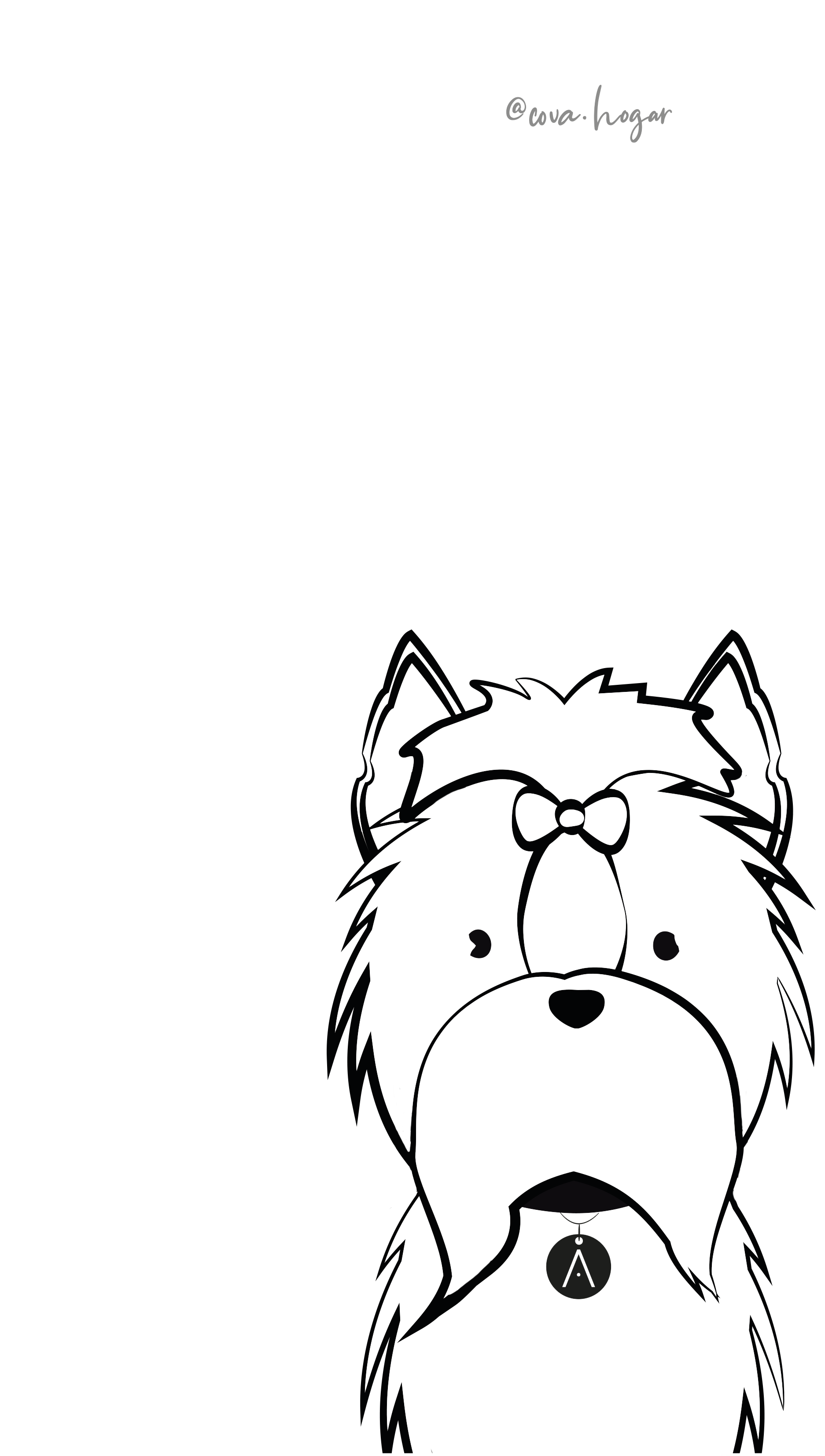 Yorkie de Pelo Largo