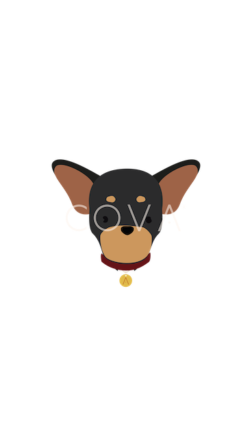 Pinscher