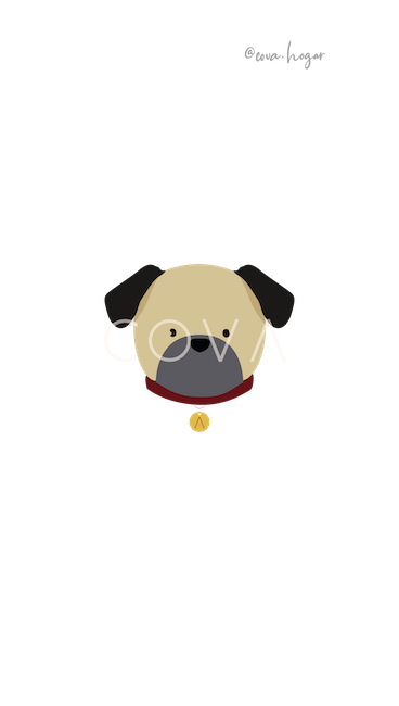 Pug