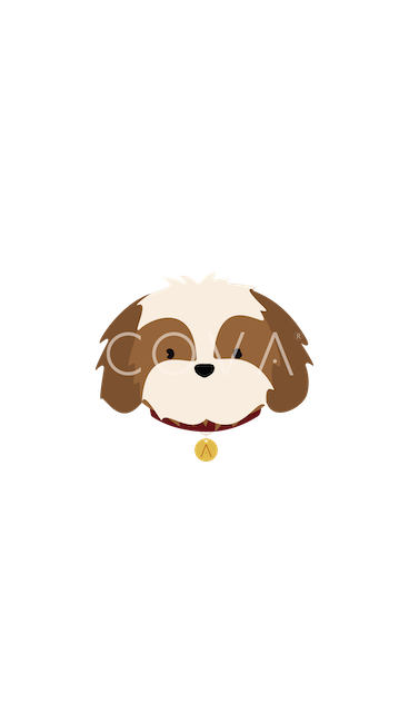 Shih Tzu Moca