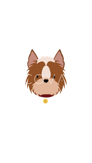 Yorkie
