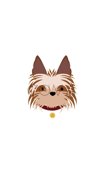 Yorkie 2
