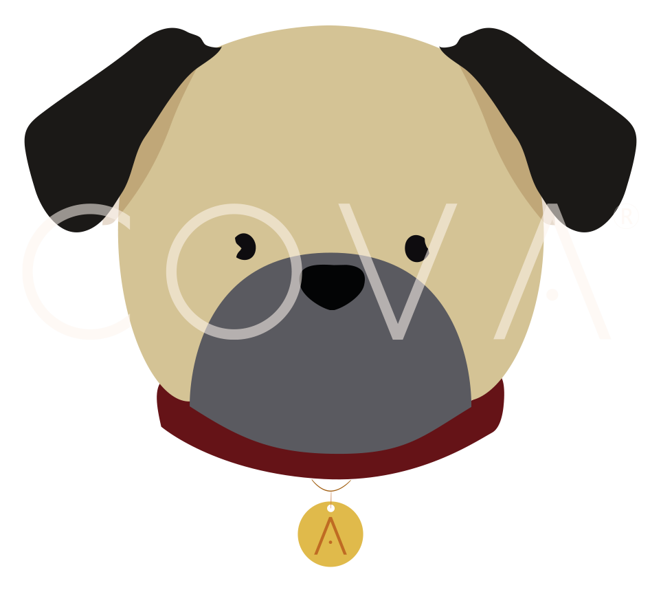 Pug