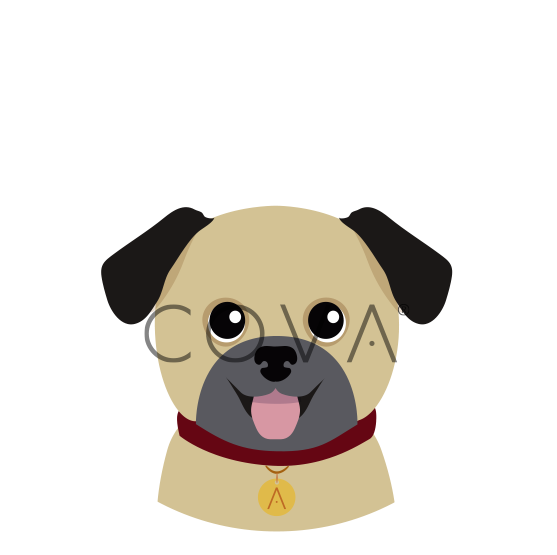 Pug