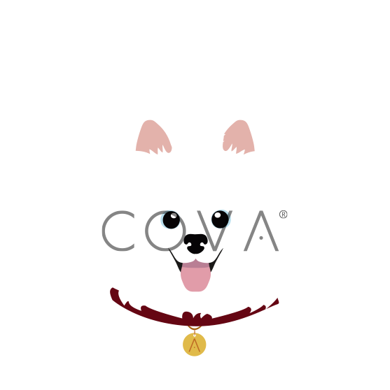 Samoyedo