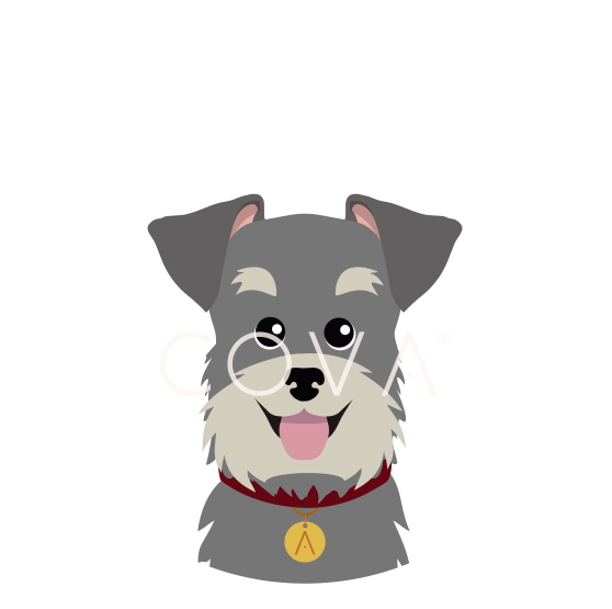 Schnauzer
