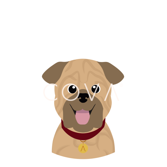 Shar Pei