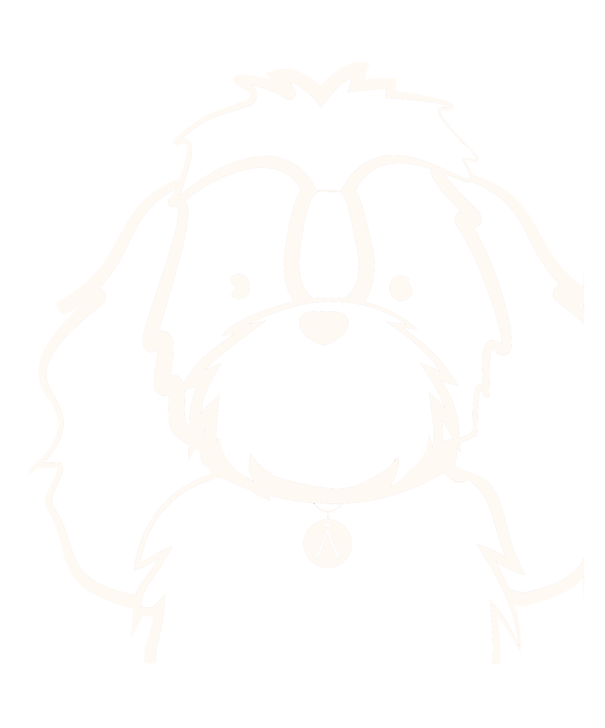 Shih Tzu de Pelo Largo