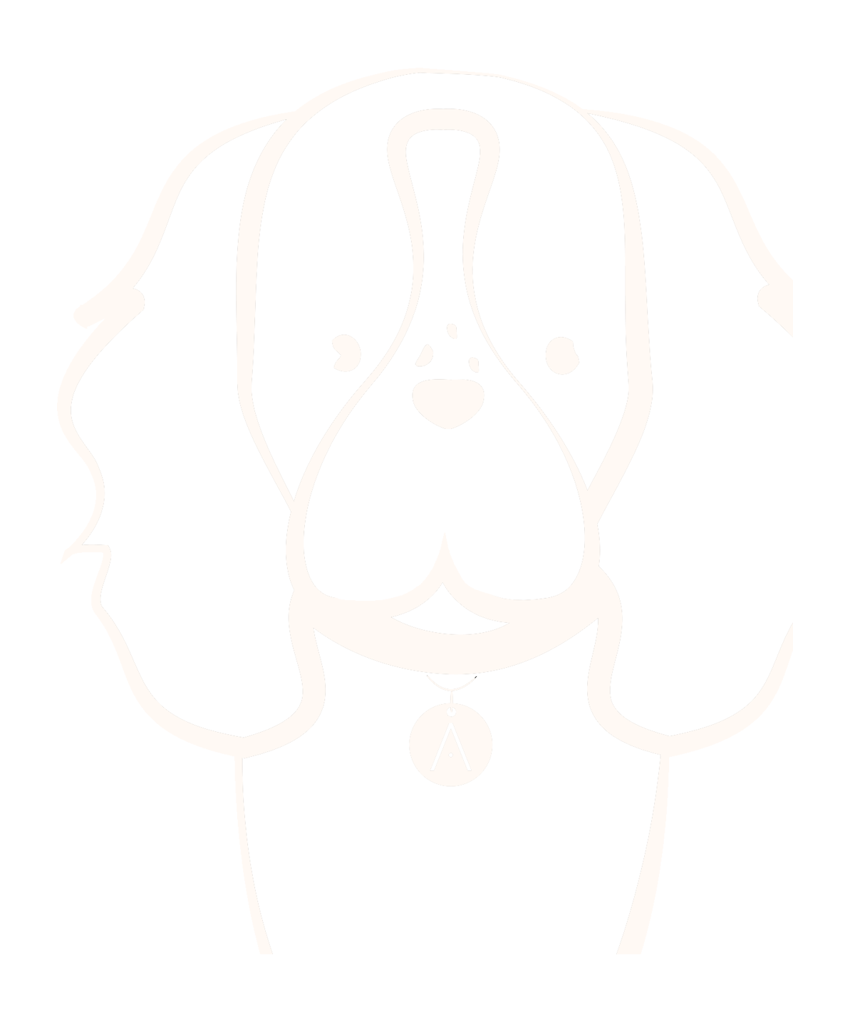 Springer Spaniel