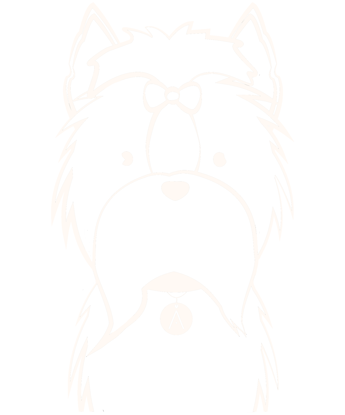 Yorkie de Pelo Largo